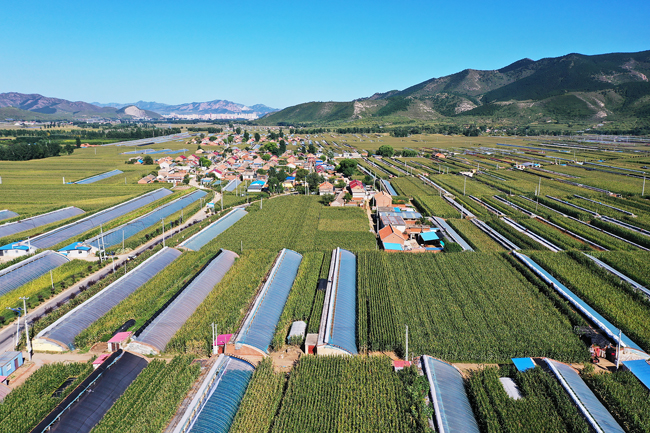 鳥(niǎo)瞰宮家燒鍋村。宮家燒鍋村供圖