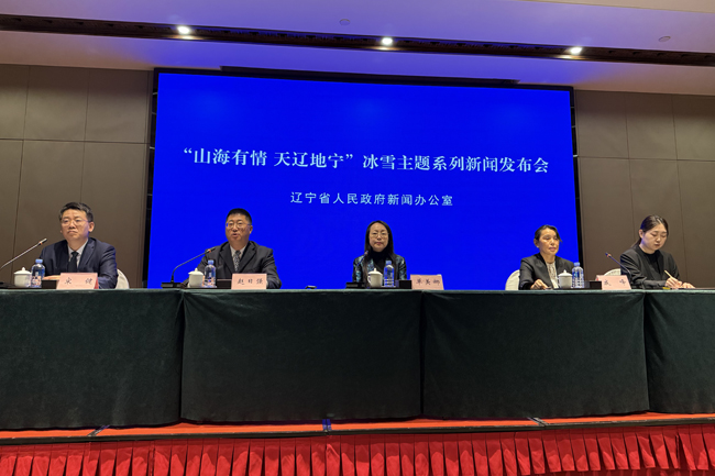 發(fā)布會現場。人民網記者 孝媛攝